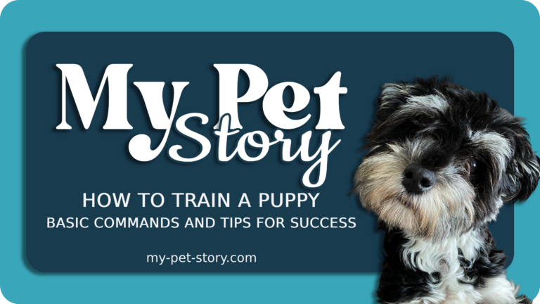 How to Train a Puppy