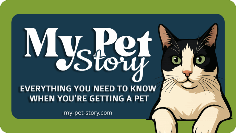 Everything You Need to Know When You’re Getting a Pet